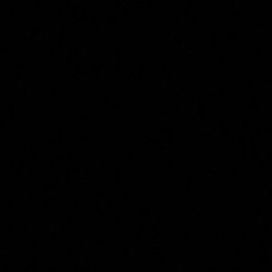 Meet your Posher, Vincent